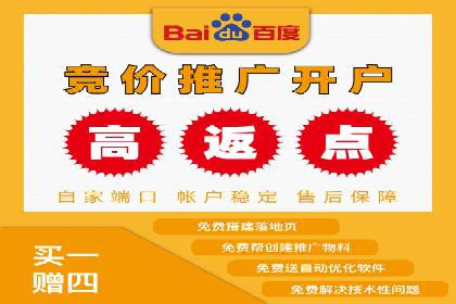 充值返点机制在社交平台的应用案例